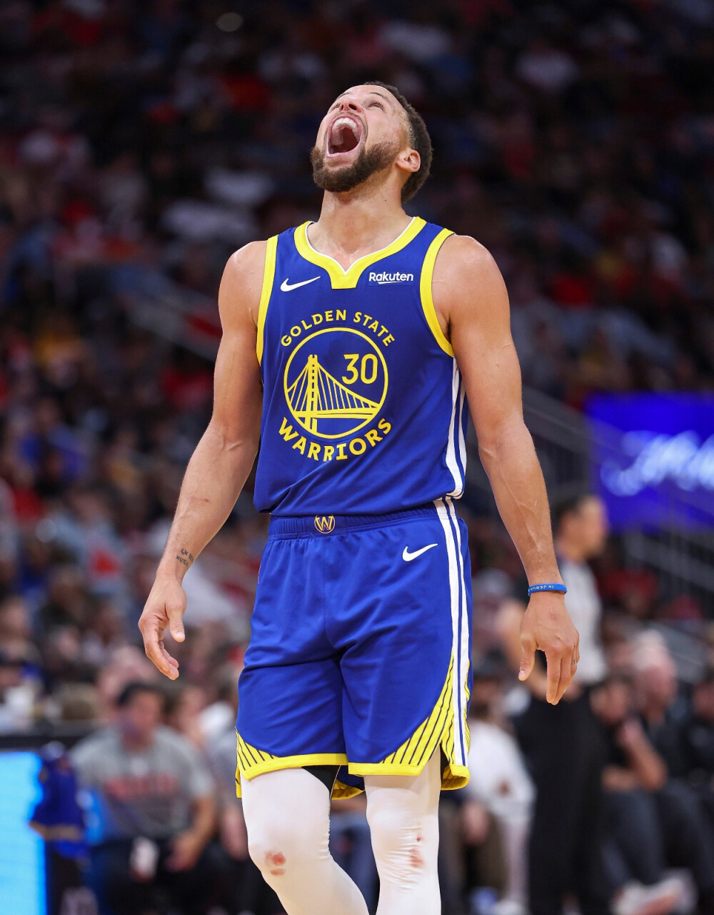 中表现出色 中表现出色