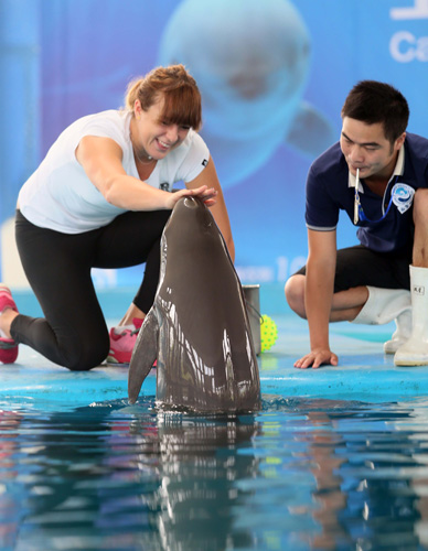 体育不仅仅 体育不仅仅