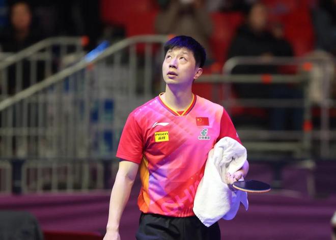 的专业技能 的专业技能