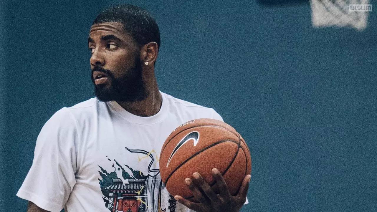 中表现出色 中表现出色